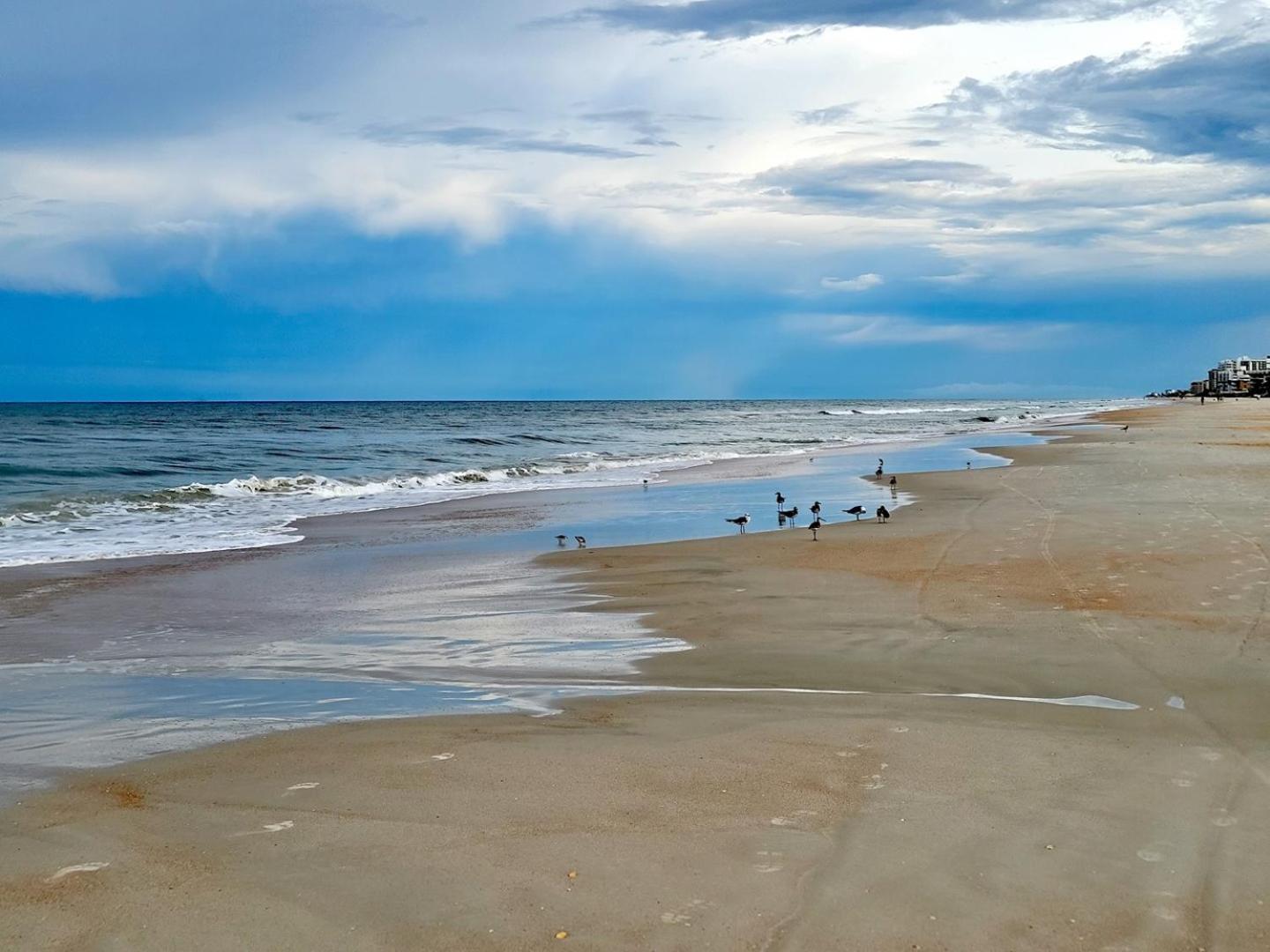 507- Ocean View 2 Bedroom Top Floor New Smyrna Beach Εξωτερικό φωτογραφία